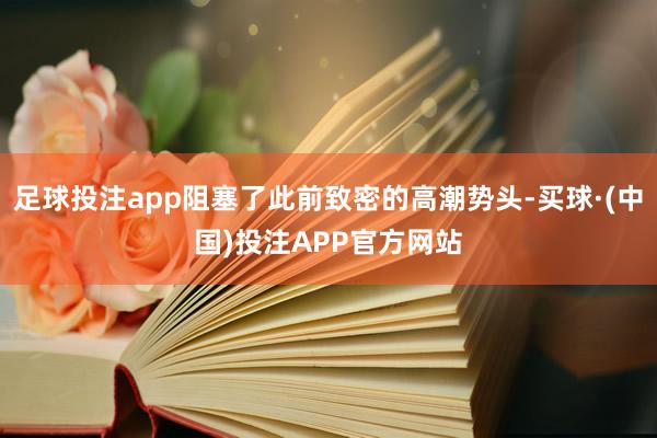 足球投注app阻塞了此前致密的高潮势头-买球·(中国)投注APP官方网站