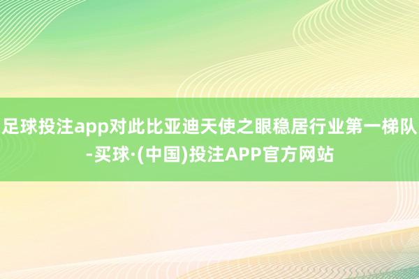 足球投注app对此比亚迪天使之眼稳居行业第一梯队-买球·(中国)投注APP官方网站