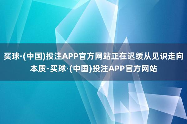买球·(中国)投注APP官方网站正在迟缓从见识走向本质-买球·(中国)投注APP官方网站