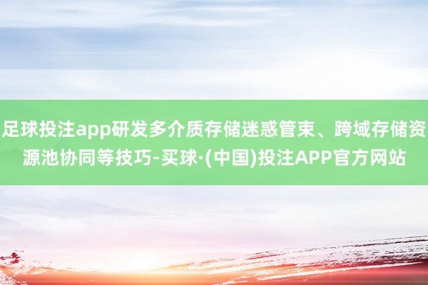 足球投注app研发多介质存储迷惑管束、跨域存储资源池协同等技巧-买球·(中国)投注APP官方网站