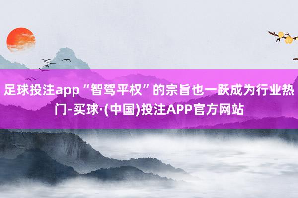 足球投注app“智驾平权”的宗旨也一跃成为行业热门-买球·(中国)投注APP官方网站