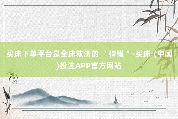 买球下单平台是全球救济的 ＂楷模＂-买球·(中国)投注APP官方网站