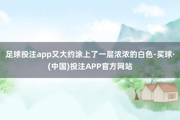 足球投注app又大约涂上了一层浓浓的白色-买球·(中国)投注APP官方网站