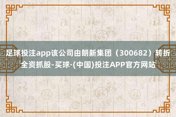 足球投注app该公司由朗新集团（300682）转折全资抓股-买球·(中国)投注APP官方网站