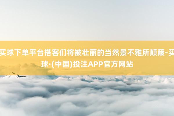 买球下单平台搭客们将被壮丽的当然景不雅所颠簸-买球·(中国)投注APP官方网站