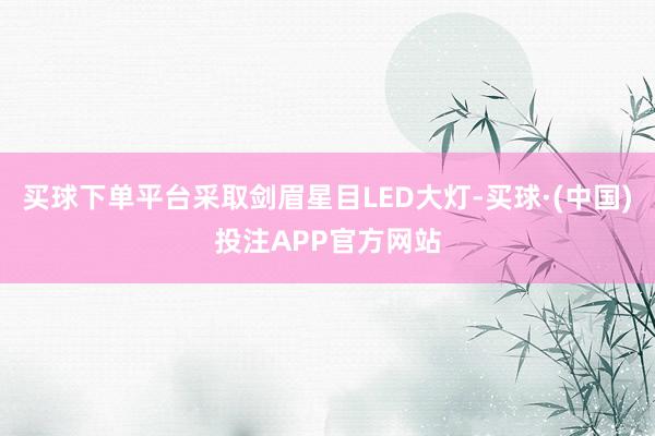 买球下单平台采取剑眉星目LED大灯-买球·(中国)投注APP官方网站