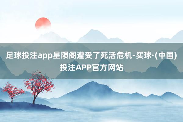 足球投注app星陨阁遭受了死活危机-买球·(中国)投注APP官方网站