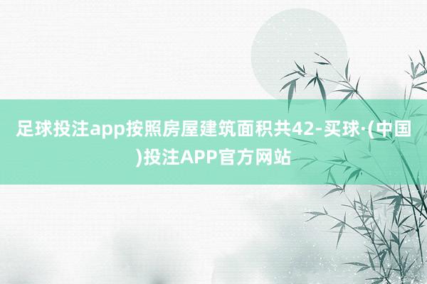 足球投注app按照房屋建筑面积共42-买球·(中国)投注APP官方网站