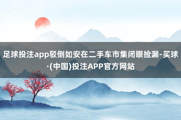 足球投注app驳倒如安在二手车市集闭眼捡漏-买球·(中国)投注APP官方网站
