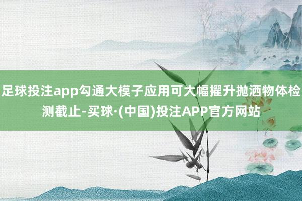 足球投注app勾通大模子应用可大幅擢升抛洒物体检测截止-买球·(中国)投注APP官方网站