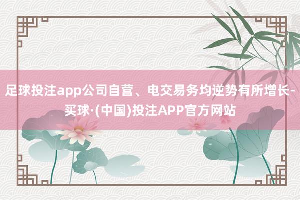 足球投注app公司自营、电交易务均逆势有所增长-买球·(中国)投注APP官方网站