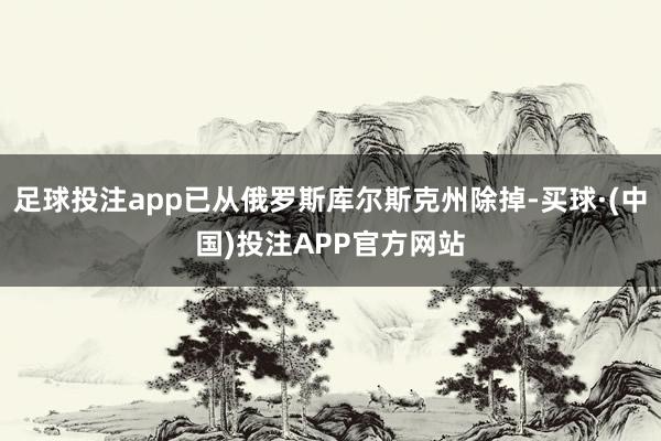 足球投注app已从俄罗斯库尔斯克州除掉-买球·(中国)投注APP官方网站