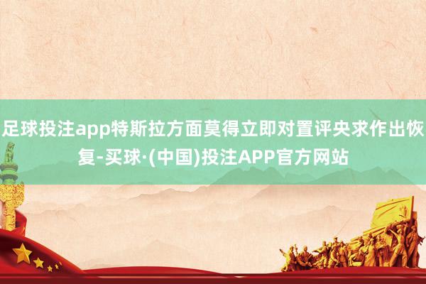 足球投注app特斯拉方面莫得立即对置评央求作出恢复-买球·(中国)投注APP官方网站