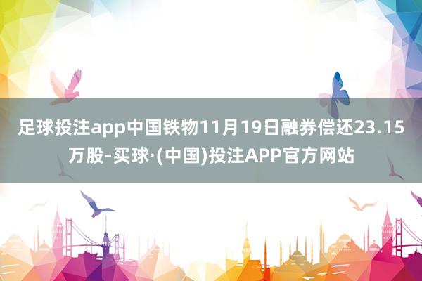 足球投注app中国铁物11月19日融券偿还23.15万股-买球·(中国)投注APP官方网站