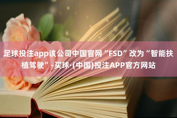 足球投注app该公司中国官网“FSD”改为“智能扶植驾驶”-买球·(中国)投注APP官方网站