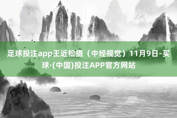足球投注app　王近松摄（中经视觉）　　11月9日-买球·(中国)投注APP官方网站