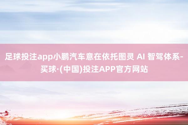足球投注app小鹏汽车意在依托图灵 AI 智驾体系-买球·(中国)投注APP官方网站