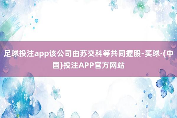 足球投注app该公司由苏交科等共同握股-买球·(中国)投注APP官方网站