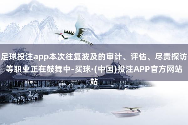 足球投注app本次往复波及的审计、评估、尽责探访等职业正在鼓舞中-买球·(中国)投注APP官方网站