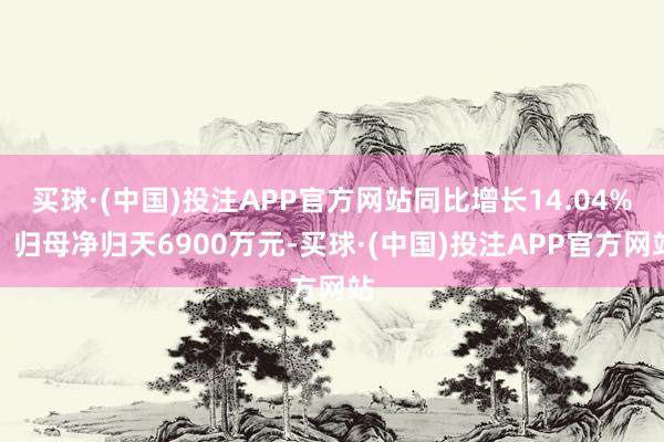 买球·(中国)投注APP官方网站同比增长14.04%；归母净归天6900万元-买球·(中国)投注APP官方网站