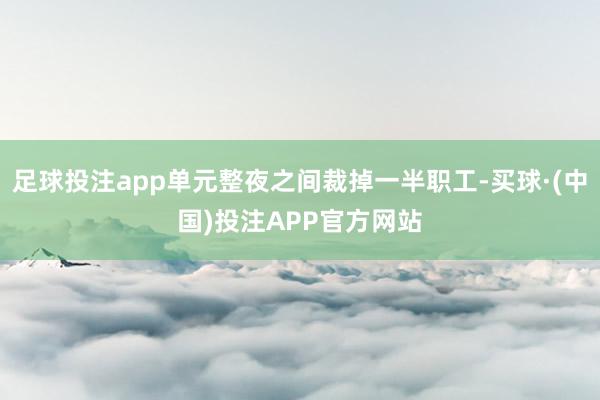 足球投注app单元整夜之间裁掉一半职工-买球·(中国)投注APP官方网站