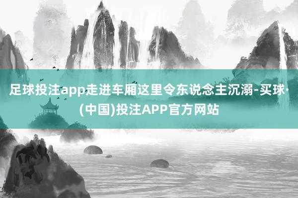 足球投注app走进车厢这里令东说念主沉溺-买球·(中国)投注APP官方网站