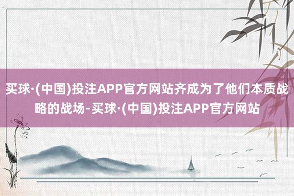 买球·(中国)投注APP官方网站齐成为了他们本质战略的战场-买球·(中国)投注APP官方网站