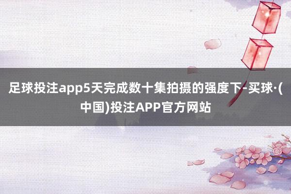 足球投注app5天完成数十集拍摄的强度下-买球·(中国)投注APP官方网站