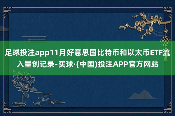 足球投注app11月好意思国比特币和以太币ETF流入量创记录-买球·(中国)投注APP官方网站