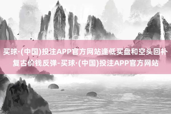买球·(中国)投注APP官方网站逢低买盘和空头回补复古价钱反弹-买球·(中国)投注APP官方网站