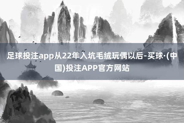 足球投注app从22年入坑毛绒玩偶以后-买球·(中国)投注APP官方网站