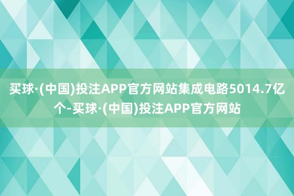 买球·(中国)投注APP官方网站集成电路5014.7亿个-买球·(中国)投注APP官方网站