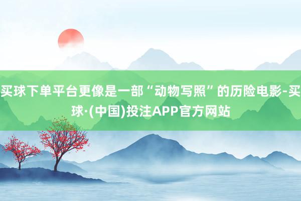买球下单平台更像是一部“动物写照”的历险电影-买球·(中国)投注APP官方网站