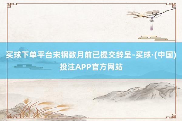 买球下单平台宋钢数月前已提交辞呈-买球·(中国)投注APP官方网站
