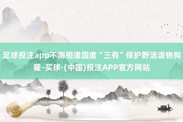 足球投注app不测相逢国度“三有”保护野活泼物狗獾-买球·(中国)投注APP官方网站