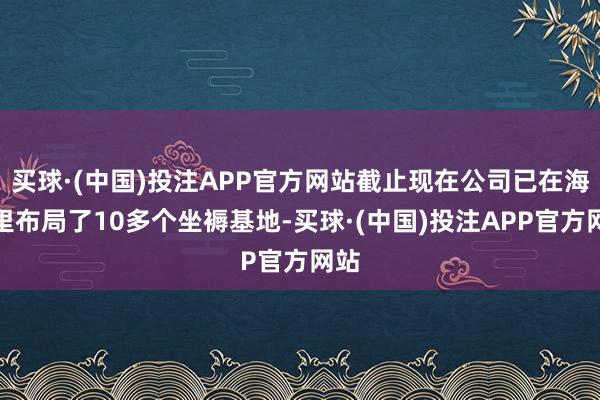 买球·(中国)投注APP官方网站截止现在公司已在海表里布局了10多个坐褥基地-买球·(中国)投注APP官方网站