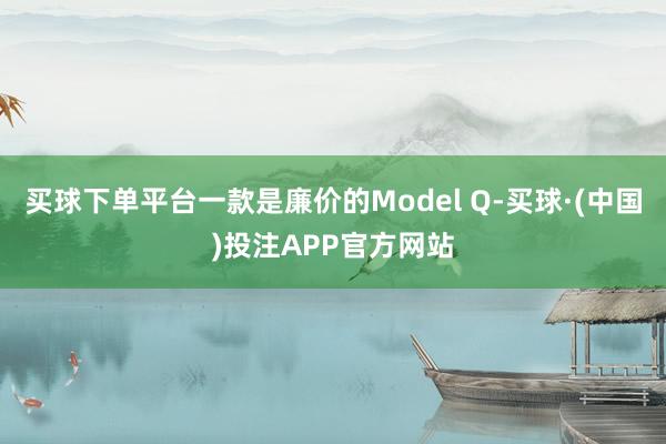 买球下单平台一款是廉价的Model Q-买球·(中国)投注APP官方网站