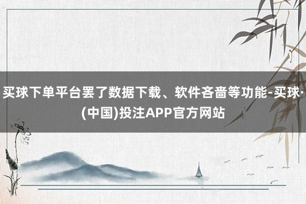 买球下单平台罢了数据下载、软件吝啬等功能-买球·(中国)投注APP官方网站