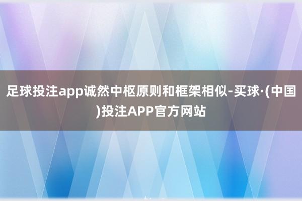 足球投注app诚然中枢原则和框架相似-买球·(中国)投注APP官方网站