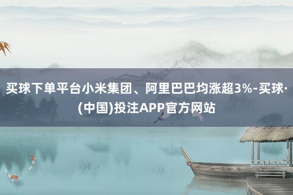 买球下单平台小米集团、阿里巴巴均涨超3%-买球·(中国)投注APP官方网站