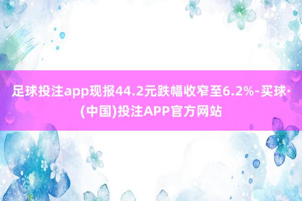 足球投注app现报44.2元跌幅收窄至6.2%-买球·(中国)投注APP官方网站