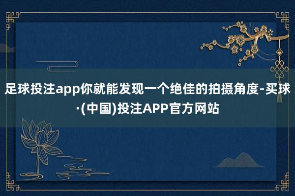 足球投注app你就能发现一个绝佳的拍摄角度-买球·(中国)投注APP官方网站
