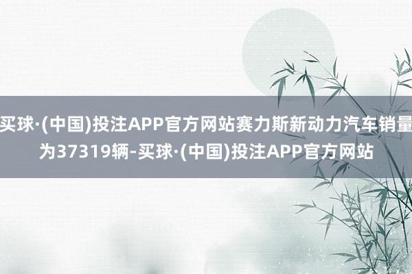 买球·(中国)投注APP官方网站赛力斯新动力汽车销量为37319辆-买球·(中国)投注APP官方网站