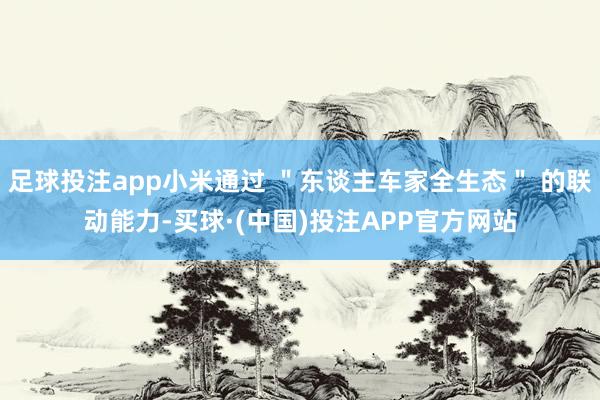 足球投注app小米通过 ＂东谈主车家全生态＂ 的联动能力-买球·(中国)投注APP官方网站