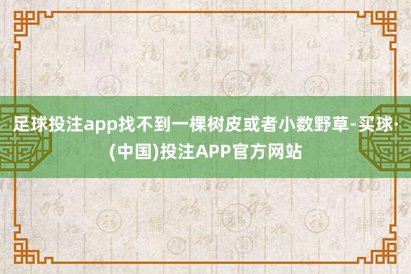 足球投注app找不到一棵树皮或者小数野草-买球·(中国)投注APP官方网站