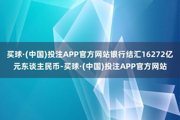 买球·(中国)投注APP官方网站银行结汇16272亿元东谈主民币-买球·(中国)投注APP官方网站