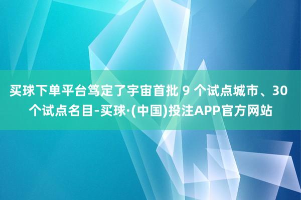 买球下单平台笃定了宇宙首批 9 个试点城市、30 个试点名目-买球·(中国)投注APP官方网站