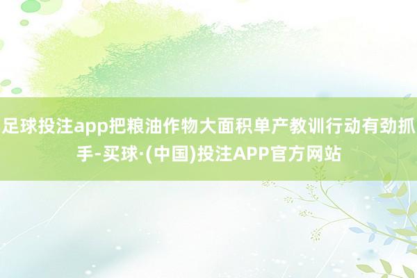 足球投注app把粮油作物大面积单产教训行动有劲抓手-买球·(中国)投注APP官方网站
