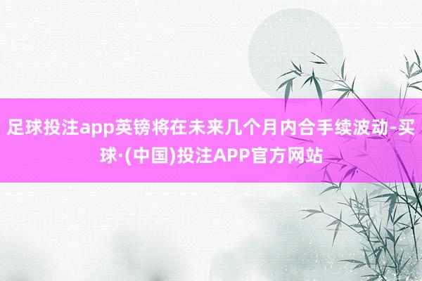 足球投注app英镑将在未来几个月内合手续波动-买球·(中国)投注APP官方网站