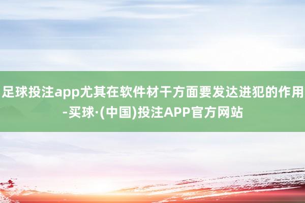 足球投注app尤其在软件材干方面要发达进犯的作用-买球·(中国)投注APP官方网站
